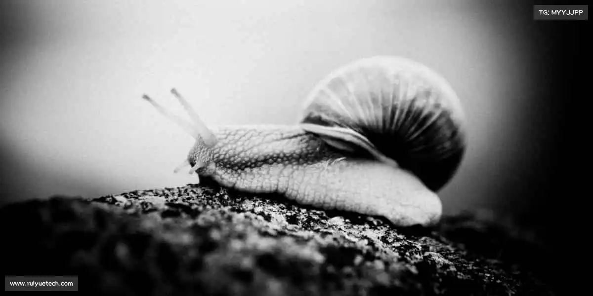 <strong>mk体育</strong>举起杠铃，扛起的不只是重量，更是对自我的突破🏋️